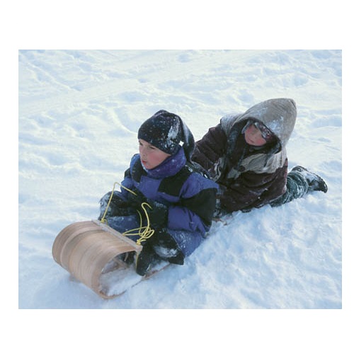 go snow sledding in verbal behavior  category